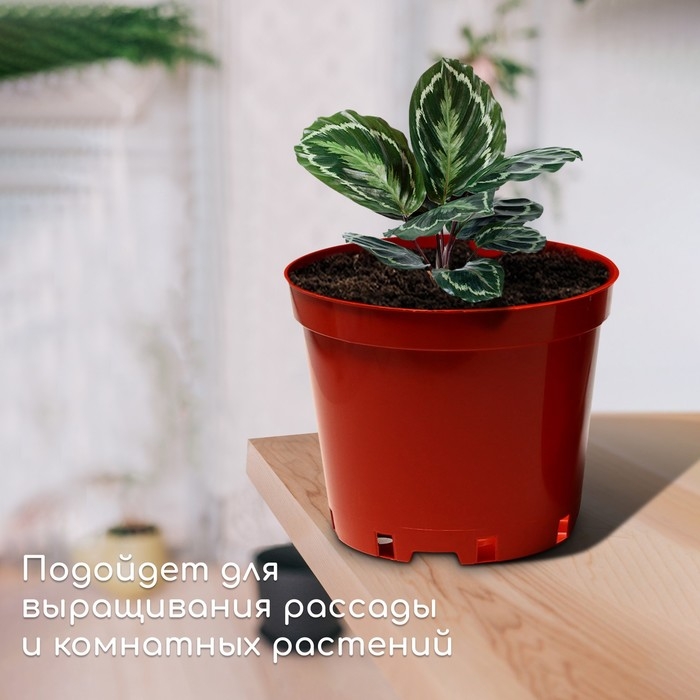 Горшок для рассады, 10 л, d = 29 см, h = 22,5 см, терракот, Greengo Горшок для рассады, 10 л, d = 29 см, h = 22,5 см, терракот, Greengo