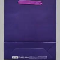 Пакет подарочный &laquo;Подарок для тебя&raquo;, голография, М 26&times;30&times;9 см