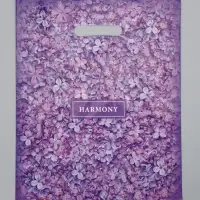 Пакет "Гармония", полиэтиленовый с вырубной ручкой, 31х40 см, 60 мкм