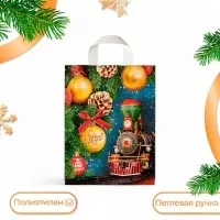 Пакет «Вокзал желаний», полиэтиленовый с петлевой ручкой, 28×35 см