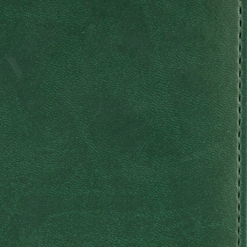 Ежедневник недатированный зелёный,А5,143х210мм,176л,ATTACHE Сиам