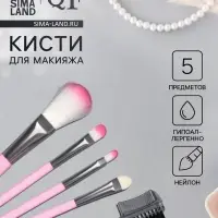 Набор кистей для макияжа COLOR POWER pink, 5 шт., розовый