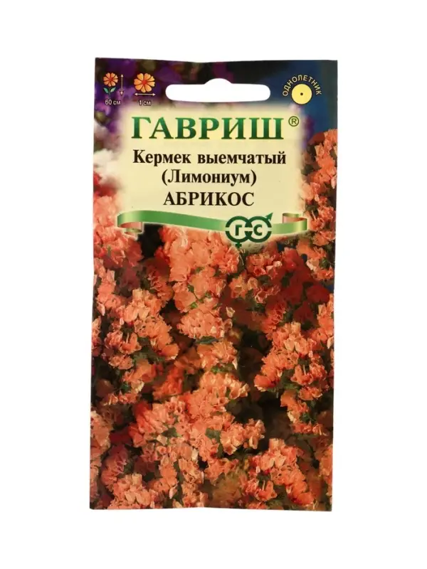 Семена цветов Кермек (Лимониум) выемчатый Абрикос* 0,05 г