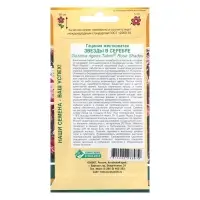 Семена цветов Гацания жестковатая "Звезды в серебре", 5 шт