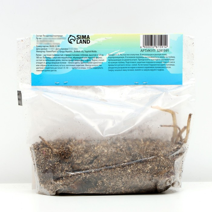 Лилия Трубчатая "Регале", р-р 12/14, 3 шт,