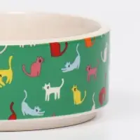 Миска &laquo;Котэ&raquo;, 200 мл, 10.5&times;10.5&times;4 см, керамика, зелёная, белая