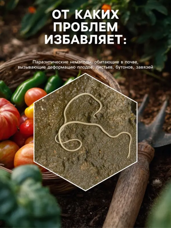 Средство от болезней растений &laquo;Флагрин-Д&raquo; (Нематодин), 10 г