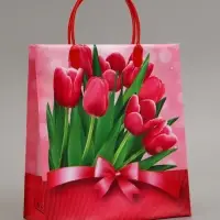 Пакет "Весеннее настроение", мягкий пластик, 26 x 23 см, 110 мкм