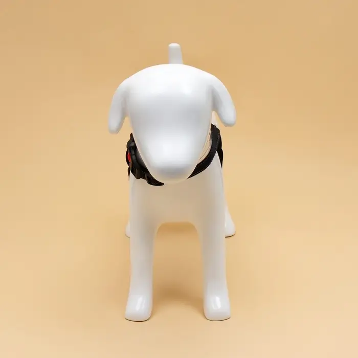 Шлейка К7, размер S, ОГ 44-55 см, вес 5-9 кг, мягкая, светоотражающая, синяя