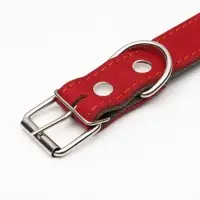Ошейник комбинированный, безразмерный, 70&times;3.5 см, ОШ 25-60 см, кожа, брезент, красный