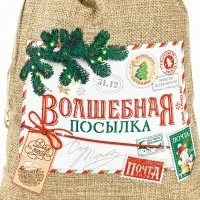 Набор мешков с термонаклейкой &laquo;Новогодняя почта&raquo;, 3 шт., 20&times;30 см