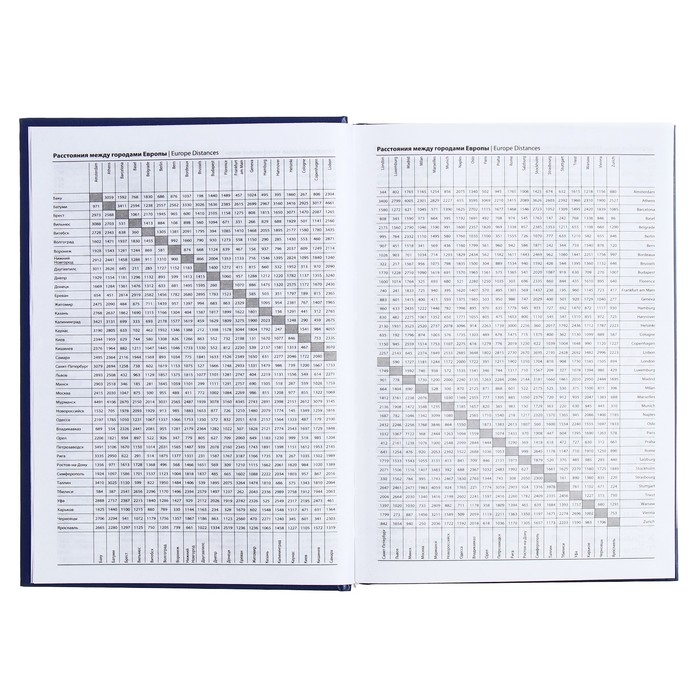 Ежедневник полудатированный на 4 года А5, 192 листа, обложка бумвинил, синий Ежедневник полудатированный на 4 года А5, 192 листа, обложка бумвинил, синий