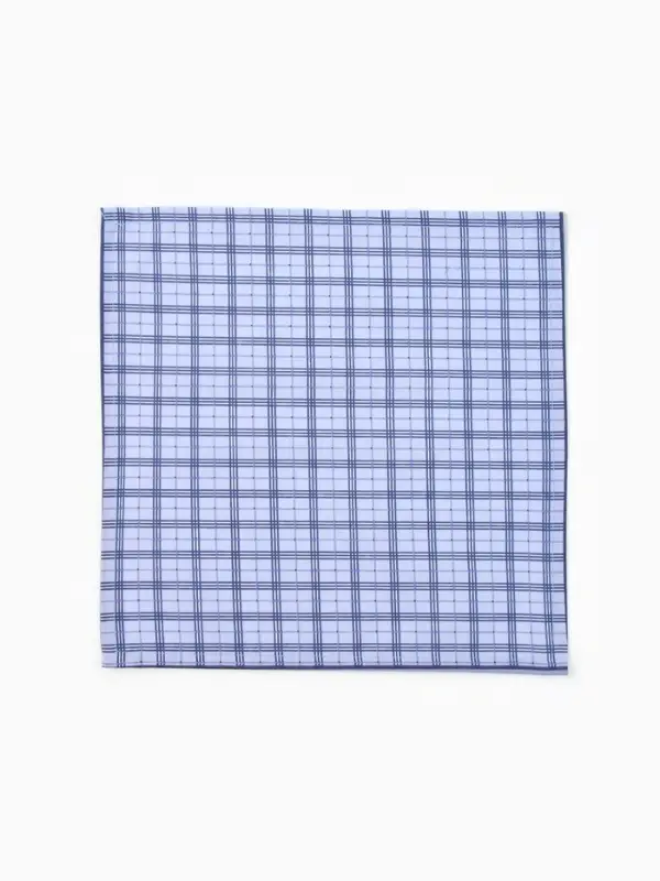 Платки носовые мужские Этель 30*30 см,(набор 12 шт,) цв. синий, рис. МИКС, 100% хл