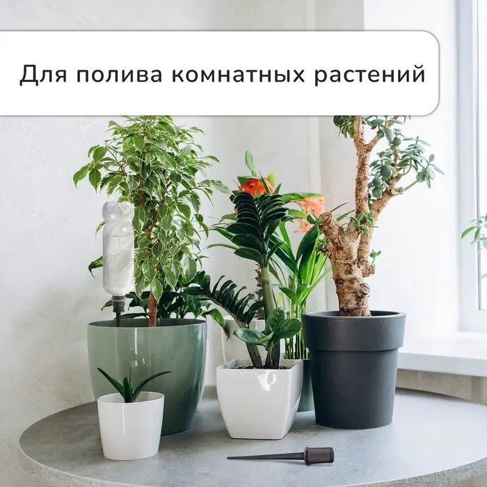Автополив для комнатных растений под бутылку, регулируемый, серый, из пластика, высота 16 см, 4 шт.