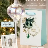 Ёлочная игрушка стеклянная с подарочным пакетом, набор &laquo;Новый год&raquo;, прозрачный
