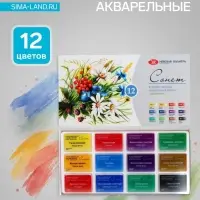 Акварель художественная в кюветах &laquo;ЗХК. Сонет. Ботаника&raquo;, 12 цветов &times; 2.5 мл