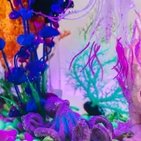 Декор для аквариума &laquo;Осьминог&raquo;, 12&times;11&times;5 см