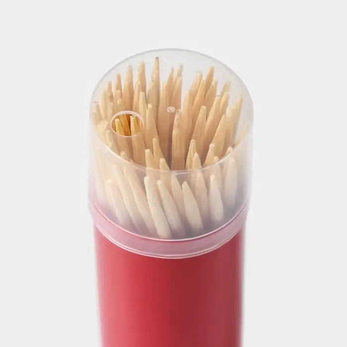 Зубочистки Доляна, 60 шт, цвет МИКС Зубочистки Доляна, 60 шт, цвет МИКС