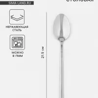 Ложка столовая Magistro Line, длина 21.5 см, нержавеющая сталь, серебристая