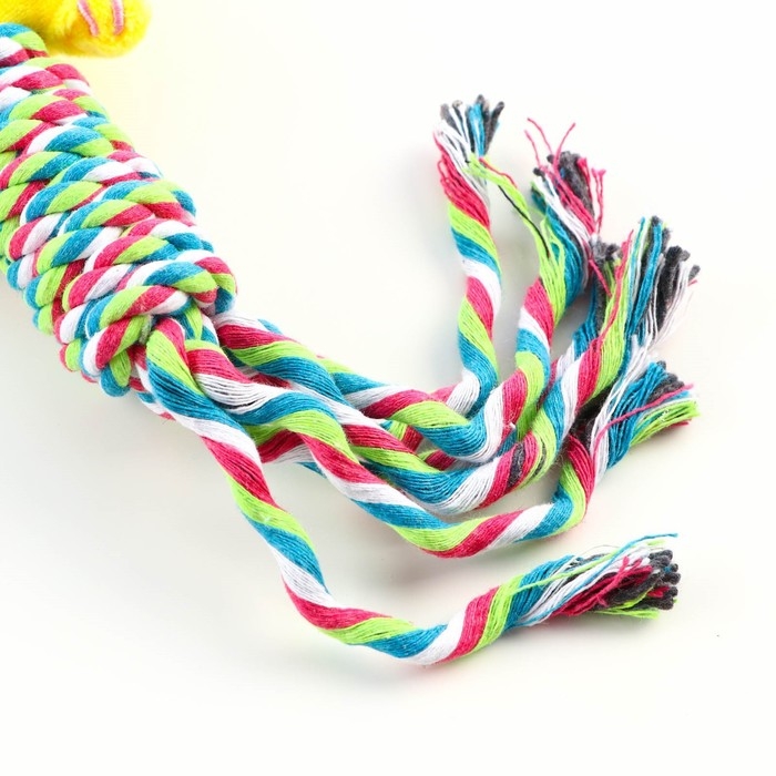 Игрушка мягкая для собак Игрушка мягкая для собак "Тигрёнок" жёлтый, 28 см