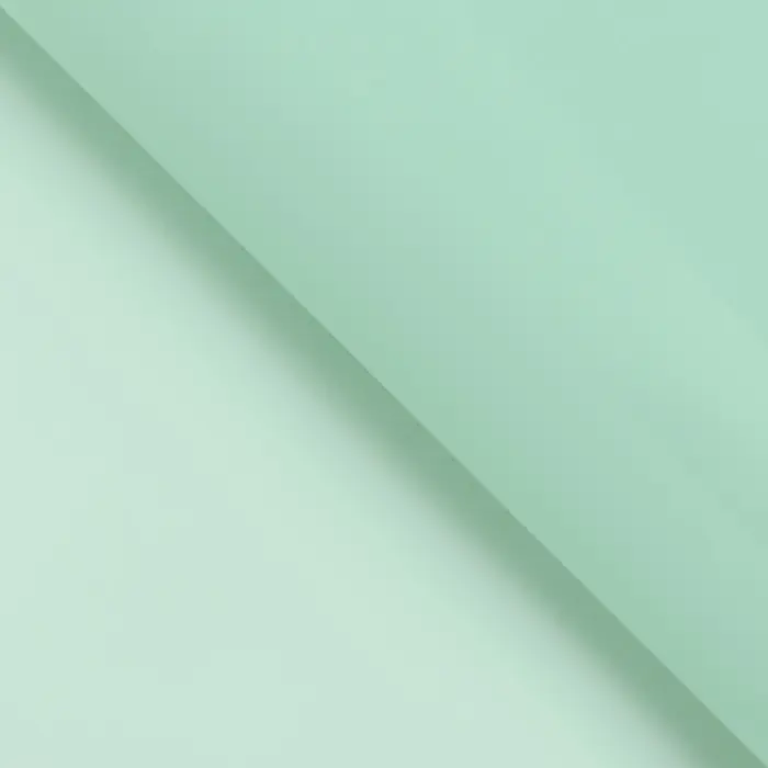 Пленка для цветов, «Серебряный кант», зелёный пастельный, 57×57±1 см Пленка для цветов, «Серебряный кант», зелёный пастельный, 57×57±1 см