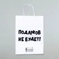 Пакет бумажный подарочный новогодний крафт с приколами, «Подарков не будет!», белый, 28 х 24 х 14 см.