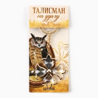 Брелок для ключей «Талисман удачи», 9 х 4 см