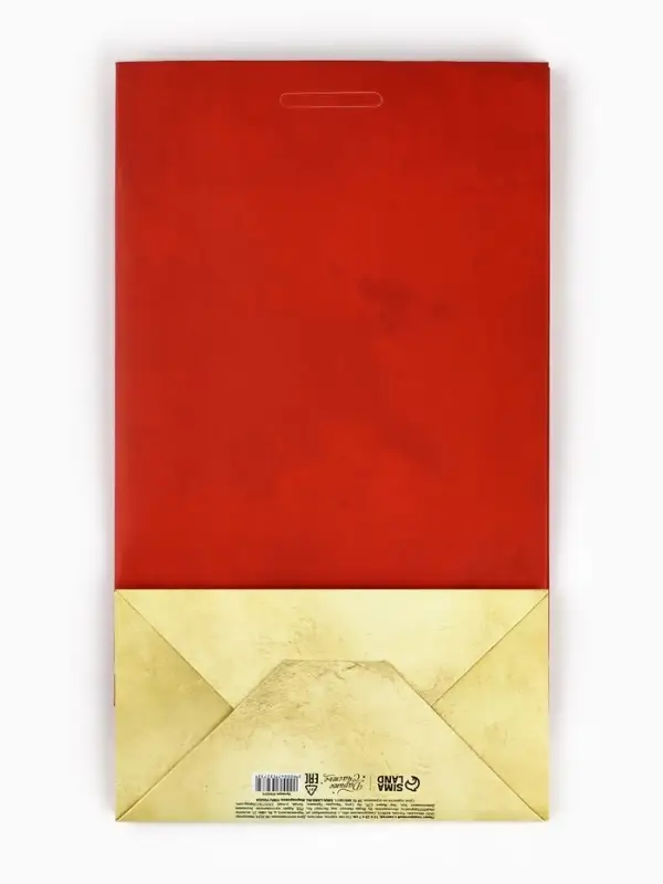 Пакет подарочный с лентой, упаковка, &laquo;Present&raquo;, 13&times;23&times;7 см