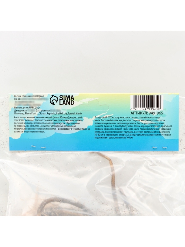 Хоста Antioch, корневище в пакете с торфогрунтом, р-р I, размер ML,1 шт.