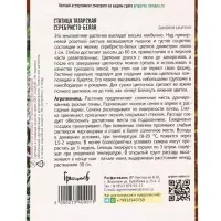 Семена цветов Статица Серебристо-Белая татарская 10шт. / НОВИНКА  12.29 г.