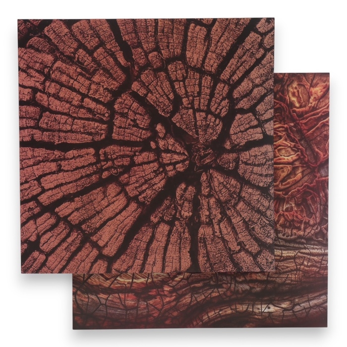 Фотофон двусторонний картон плотность 350 гр Фотофон двусторонний картон плотность 350 гр "Дерево" 50х50 см