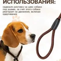 Ринговка для собак, 130&times;1 см, коричневая