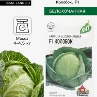Семена Капуста белокочанная &laquo;Колобок&raquo;, F1, 0.1 г, &laquo;Гавриш&raquo;