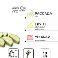Семена Кабачок &laquo;Колобок&raquo;, 10 шт., &laquo;Русский огород&raquo;