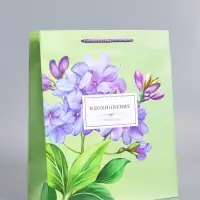 Пакет подарочный ламинированный &laquo;Вдохновение&raquo;, светло - зелёный, 26&times;12&times;32 см