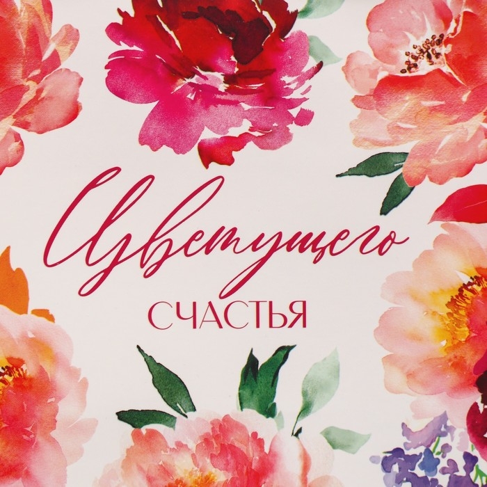 Пакет подарочный ламинированный с тишью, упаковка, «Счастье», MS 23 х 18 х 10 см