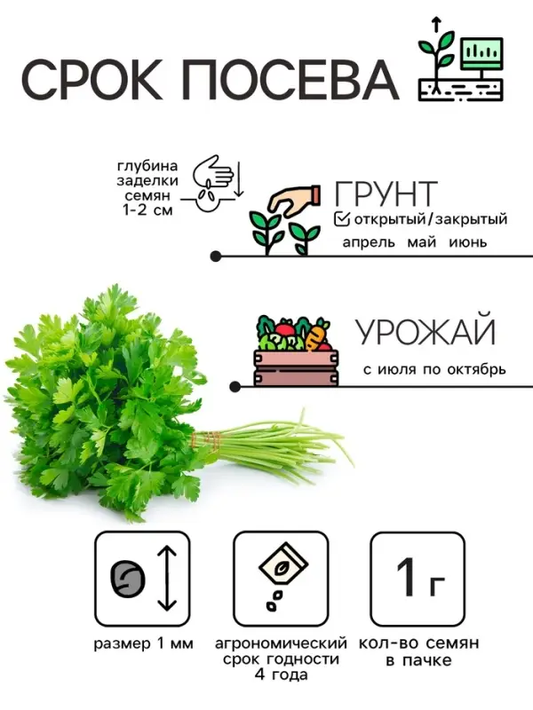 Семена Петрушка  Семена Петрушка "Итальянский богатырь", 1 г