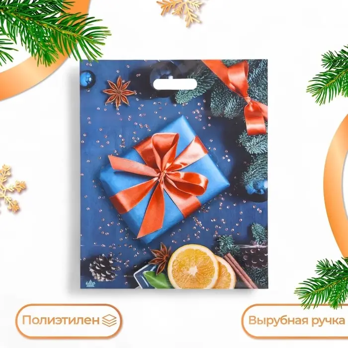 Пакет «Подарок с апельсинами», полиэтиленовый с вырубной ручкой, 47.5×39 см Пакет «Подарок с апельсинами», полиэтиленовый с вырубной ручкой, 47.5×39 см