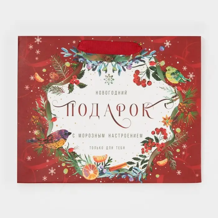 Пакет подарочный новогодний ламинированный «С морозным настроением», MS 18 х 23 х 10 см