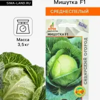 Семена Капуста &laquo;Мишутка&raquo;, F1, 0.2 г, &laquo;Агросс&raquo;