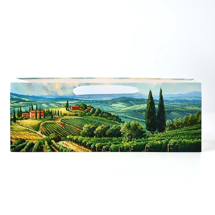 Пакет под бутылку горизонтальный «Сад», 36 × 10 × 13 см Пакет под бутылку горизонтальный «Сад», 36 × 10 × 13 см