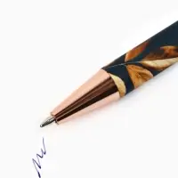 Ручка шариковая, синяя паста, 0.7 мм, пластик, софт-тач, набор из 2 шт. &laquo;Мудрый учитель&raquo;