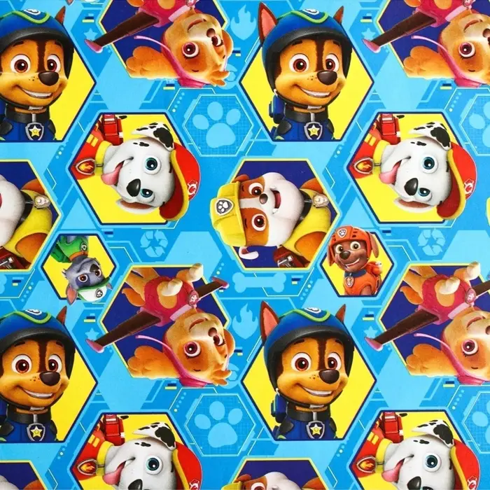 Бумага упаковочная, 70&times;100 см &laquo;Гонщик и Маршал&raquo;, Щенячий патруль