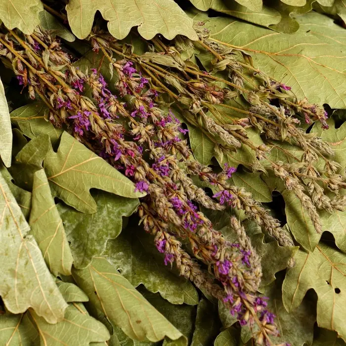 Веник для бани, дубовый, 55 см, с шалфеем, &laquo;Добропаровъ&raquo;