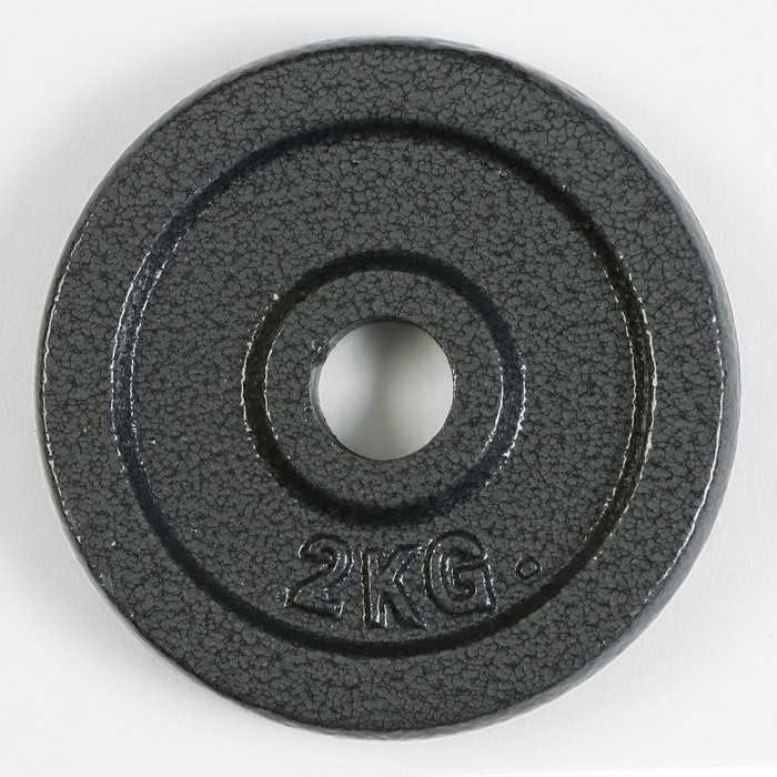 Диск 2 кг, d=29 мм Диск 2 кг, d=29 мм