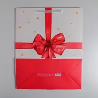Пакет подарочный ламинированный, упаковка, &laquo;For you&raquo;, XL 49&times;40&times;19 см