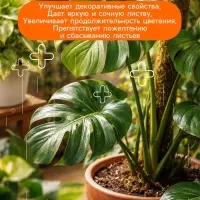 Удобрение минеральное для комнатных растений, Dr.Grunt, 700 г