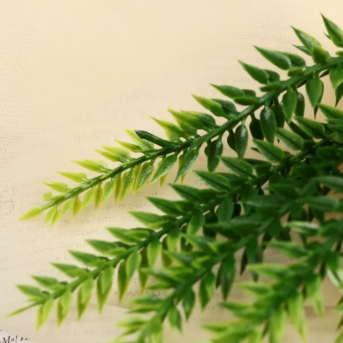 Букет «Папоротник пышный», 22 см Букет «Папоротник пышный», 22 см