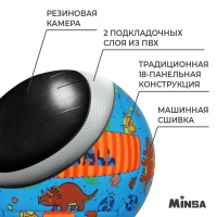 Волейбольный мяч MINSA, машинная сшивка, 18 панелей, р. 2, PVC