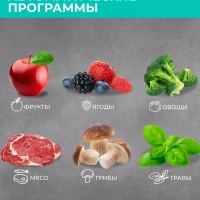 Сушилка для овощей и фруктов, дегидратор T-PFD42149
